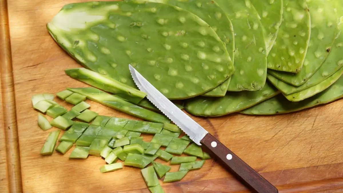 Can You Eat Nopales Raw