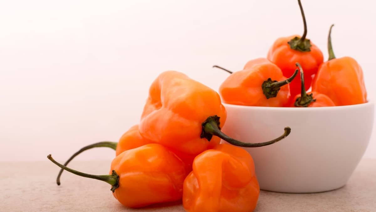 How To Cook Habanero Peppers