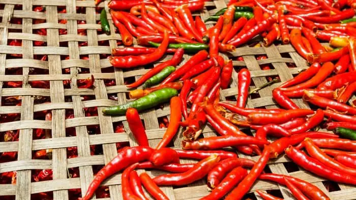  how to dehydrate peppers