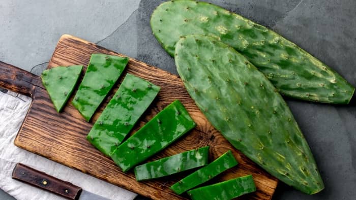  Does cactus juice make you lose weight