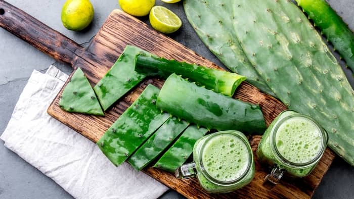  How do you blend cactus juice