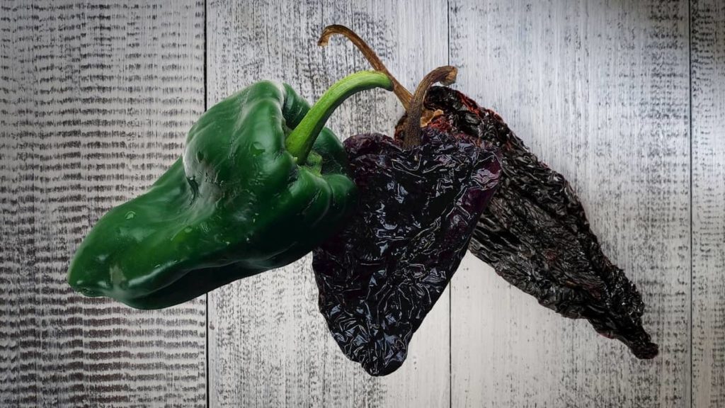 Pasilla Vs Poblano Peppers