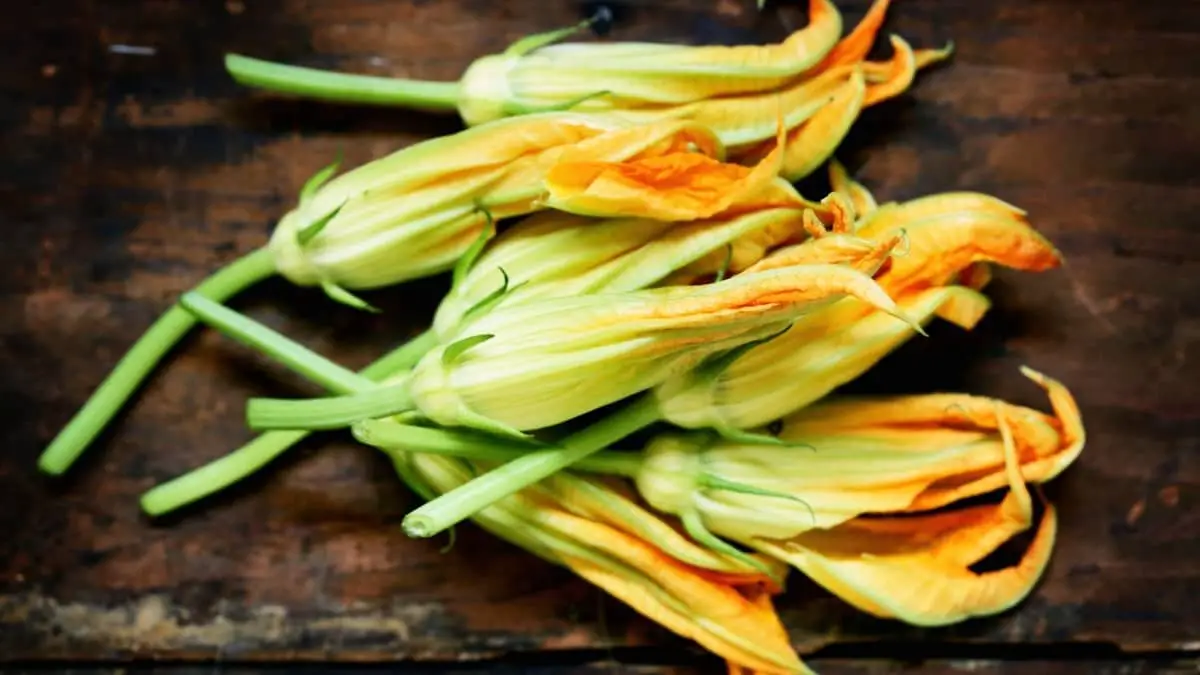 What To Do With Squash Blossoms