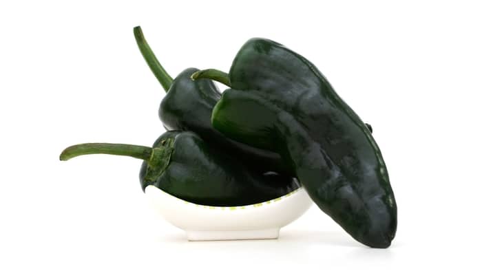  can i use pasilla peppers for chile rellenos