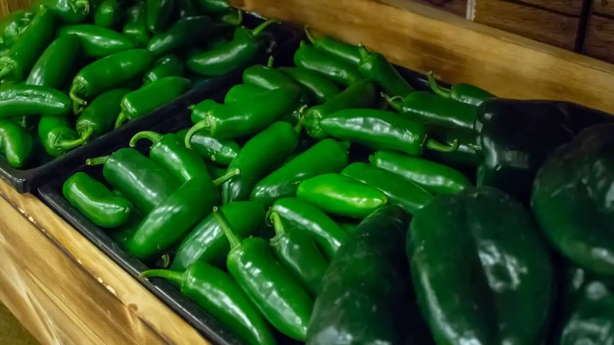 Are Poblano Peppers Hotter Than Jalapenos