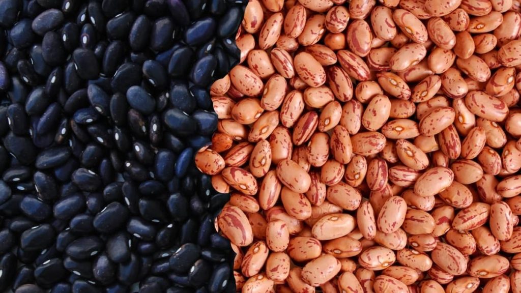 Black Beans Vs Pinto Beans Taste