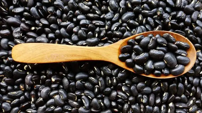  Can you substitute pinto beans for black beans?