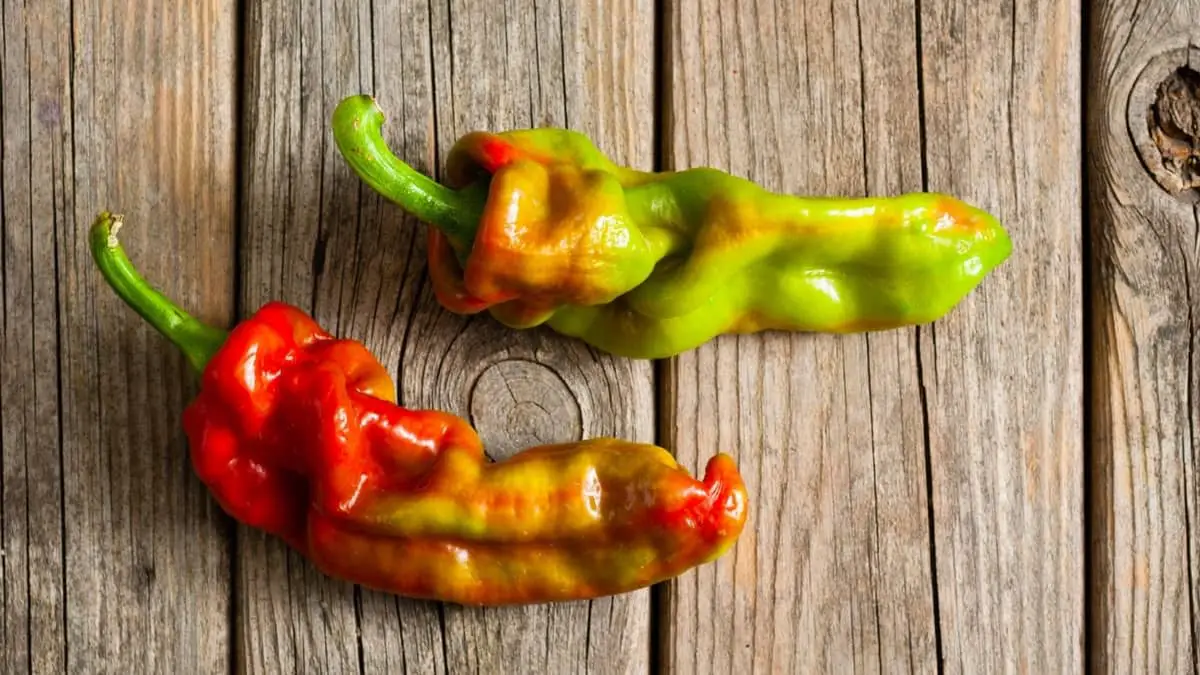 What To Make With Ghost Peppers
