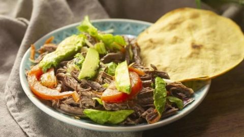 How To Make Carne Deshebrada In 4 Easy And Quick Steps – JustMexicanFood