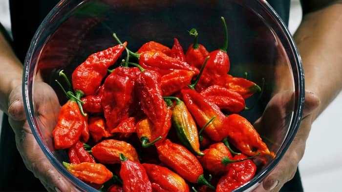  ghost pepper hot sauce