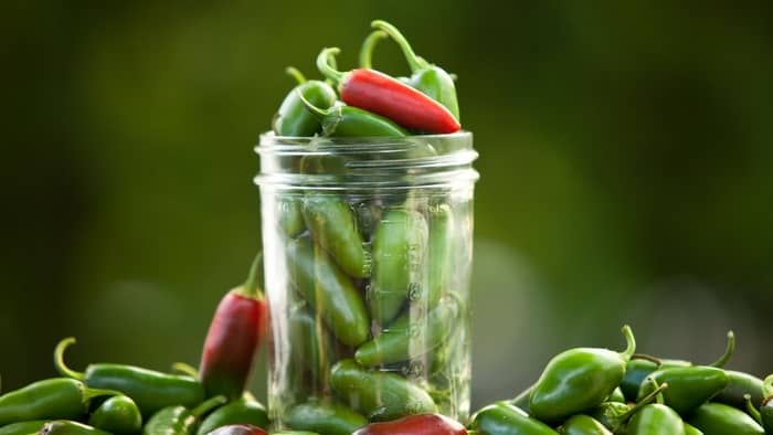  jalapeno recipes