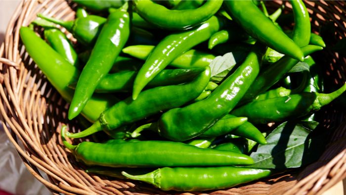  Are green chili peppers hot?