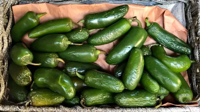  Are jalapenos and green chilies the same?