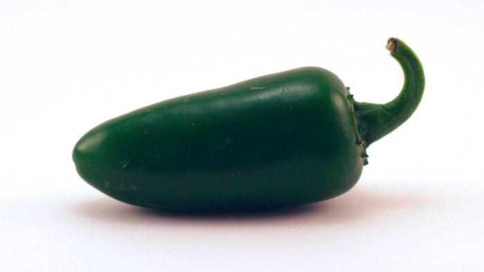 Is a jalapeño a chili pepper?